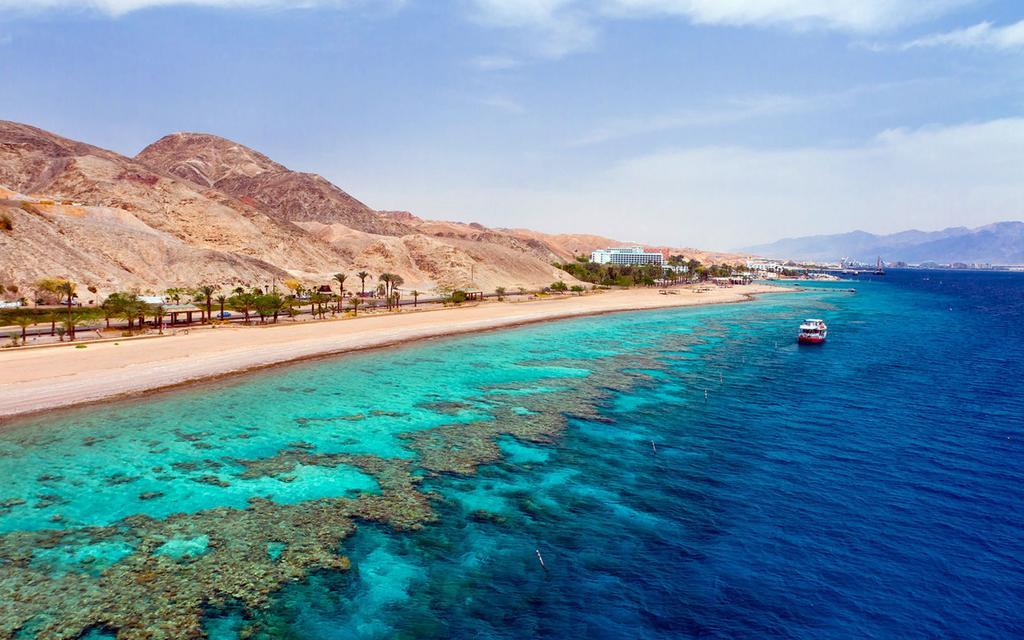 Apartment For Rent In Eilat